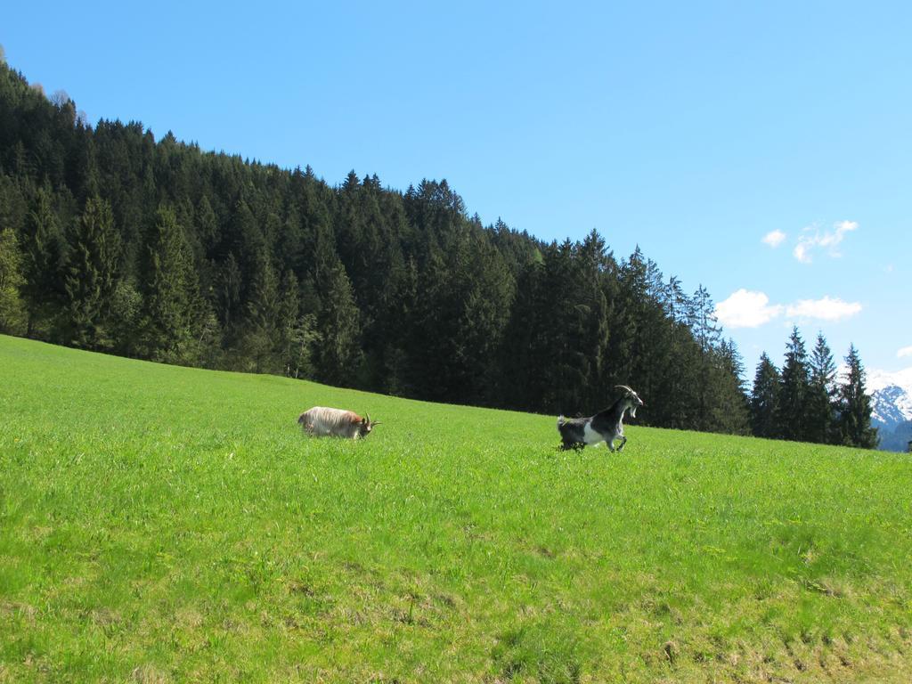 Fertinghof Villa Wildschoenau Exteriör bild