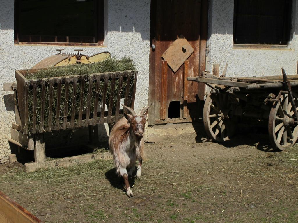 Fertinghof Villa Wildschoenau Exteriör bild